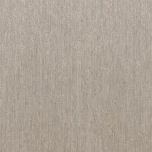 BODAQ Interior Film RM012 Silky Silver 1220mm