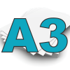 A3