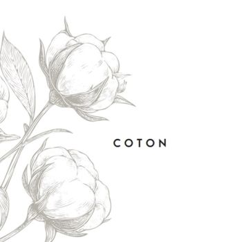 Coton white 270 g/m² 700 x 1000 mm BL