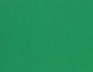 Forever NI groen 120 g/m² 700 x 1000 mm BL