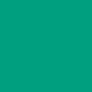 Clairefontaine Trophee intensief dennengroen 3049 80 g/m² 610 x 880 mm BL