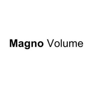 Magno Volume NI 100 g/m² 650 x 920 mm BL