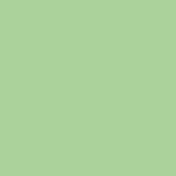 Clairefontaine Trophee pastel golfgroen 2155 160 g/m² 450 x 640 mm LL