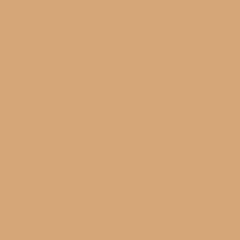 Clairefontaine Trophee pastel mokkabruin 3041 80 g/m² 450 x 640 mm LL