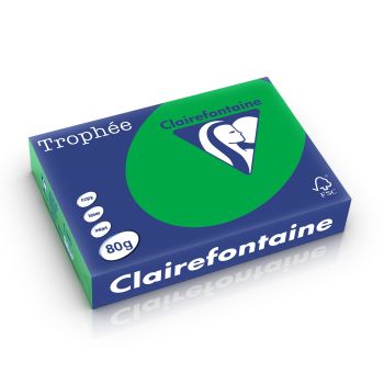 Clairefontaine Trophee intensief biljartgroen 80 g/m² 210 x 297 mm LL 1991