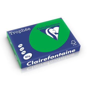 Clairefontaine Trophee intensief biljartgroen 80 g/m² 297 x 420 mm BL 1992