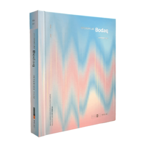 BODAQ Interior Film Sampleboek 2026-2027