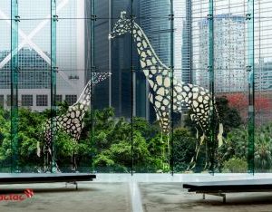 Glassdecor